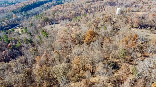 a view of a dry yard with green space
