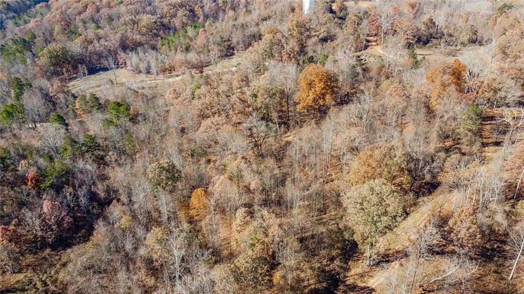 0 Auraria Road Dawsonville, GA 30534 - Photo 10 of 18