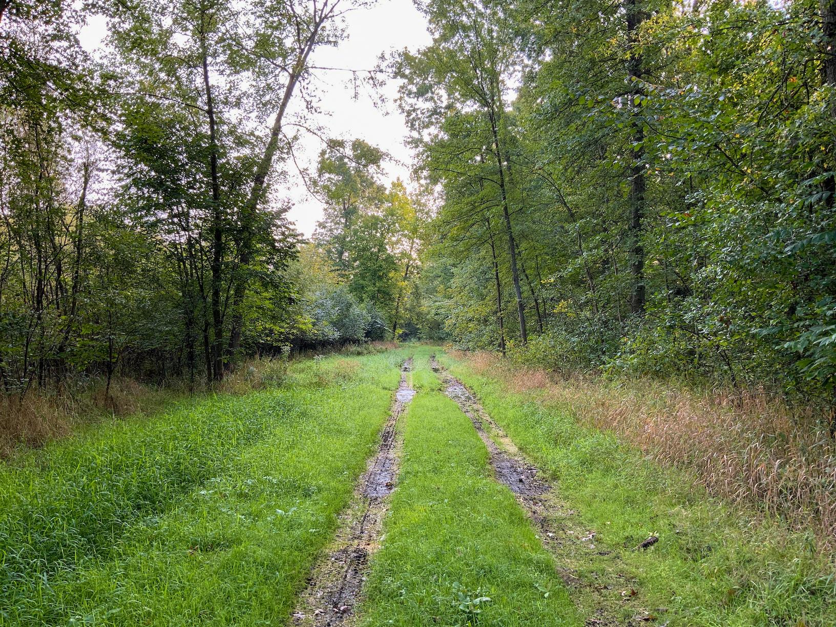 0 North Warren, OH 44484 - Photo 12 of 47