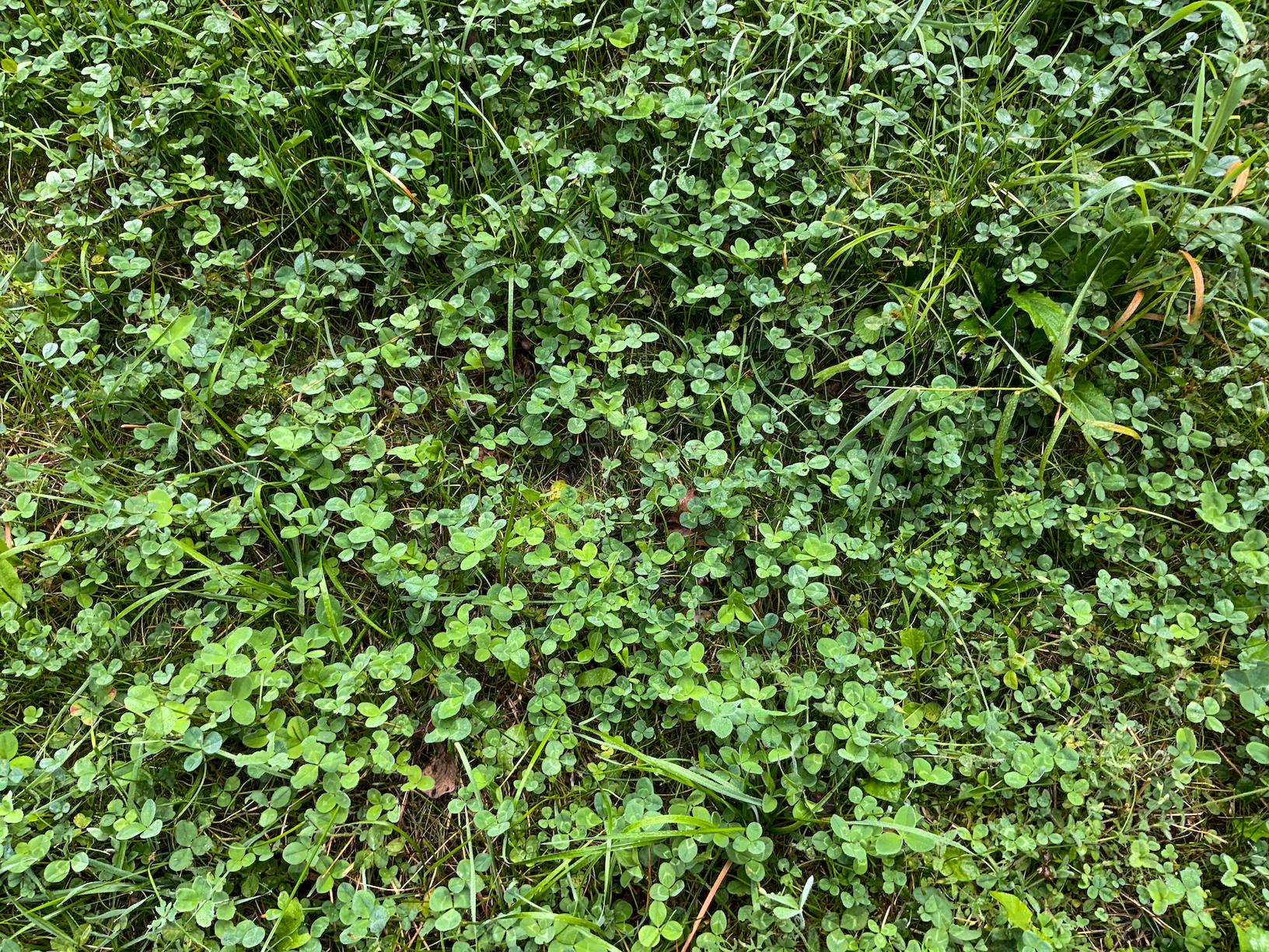 0 North Warren, OH 44484 - Photo 14 of 47