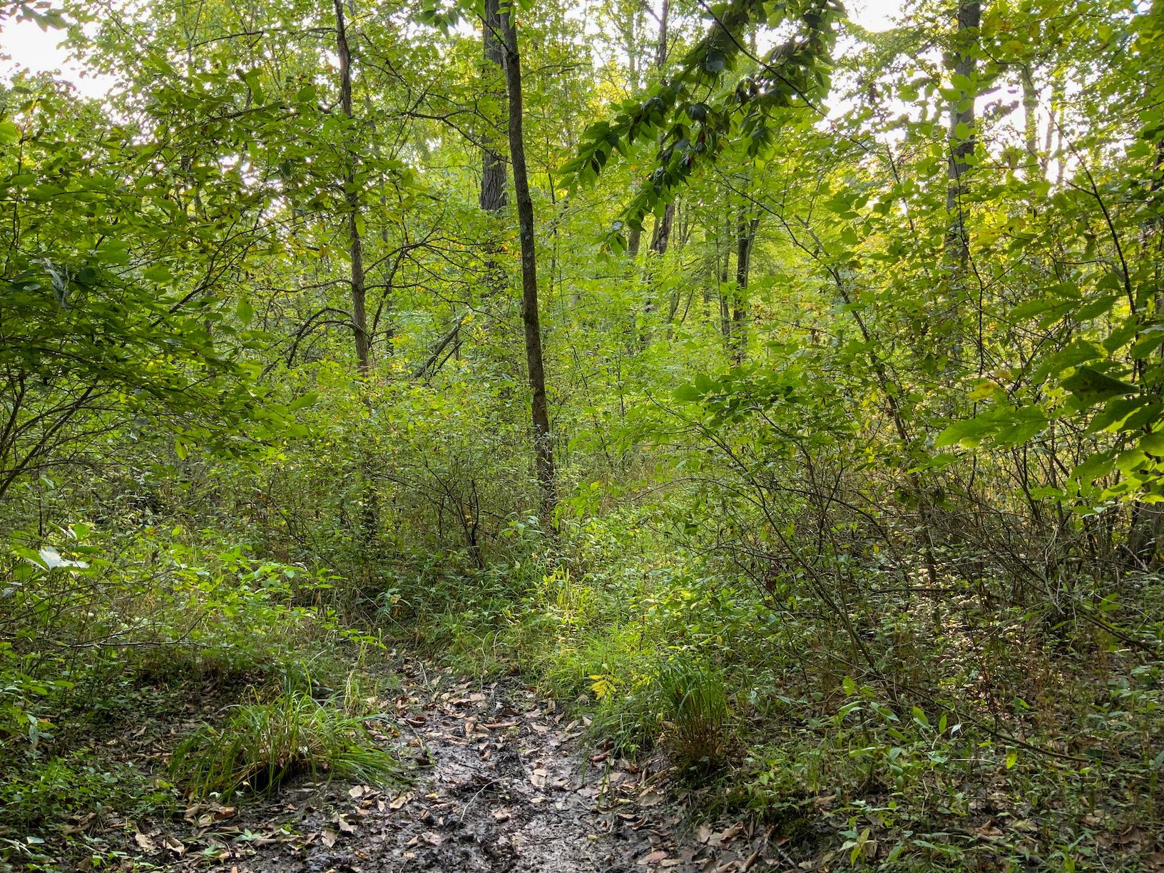 0 North Warren, OH 44484 - Photo 16 of 47