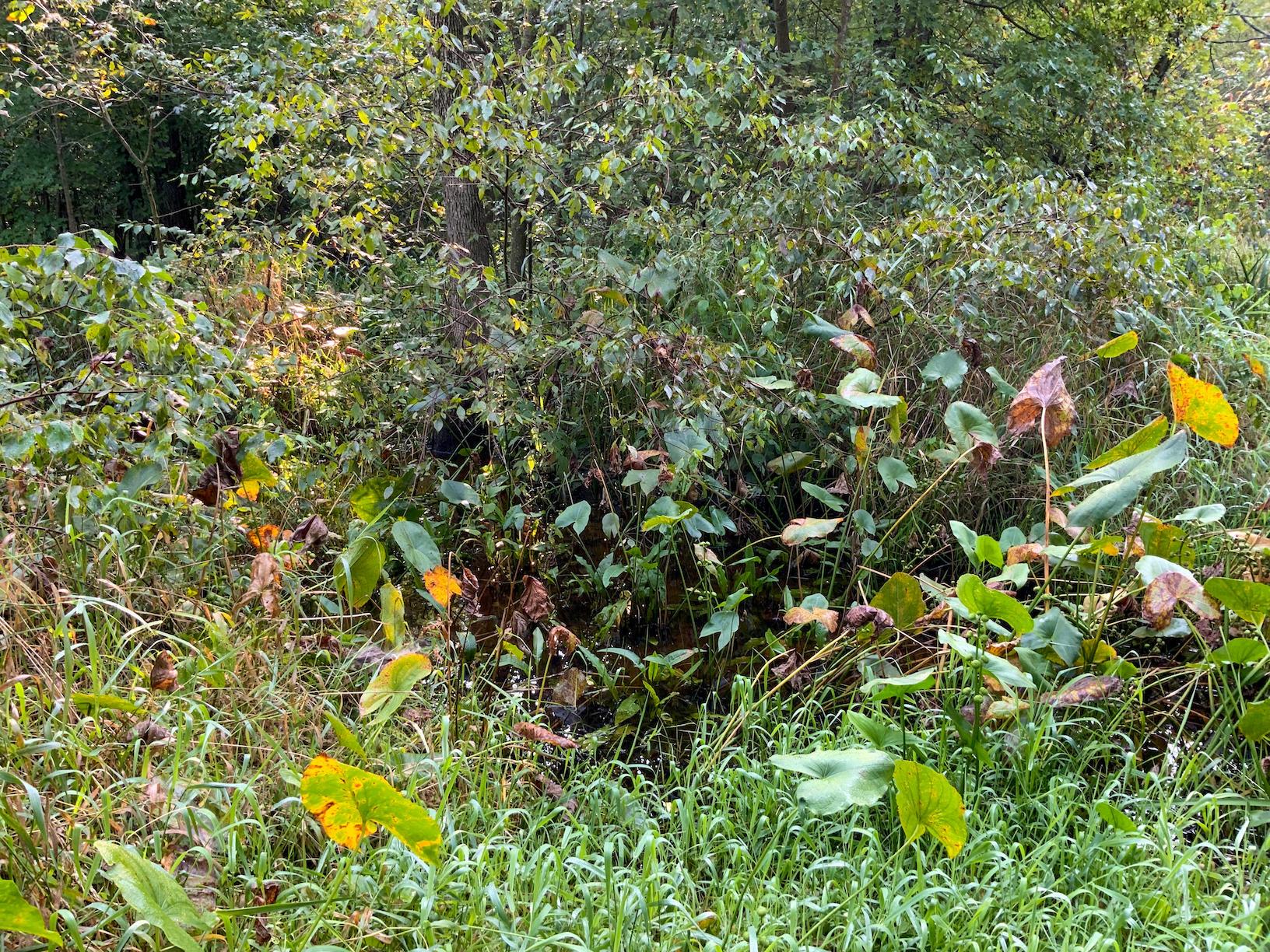 0 North Warren, OH 44484 - Photo 20 of 47