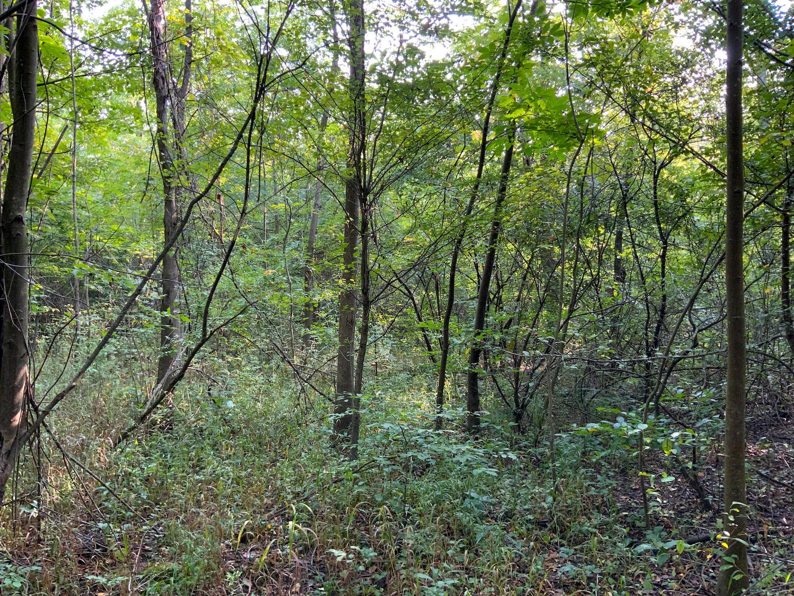 0 North Warren, OH 44484 - Photo 22 of 47