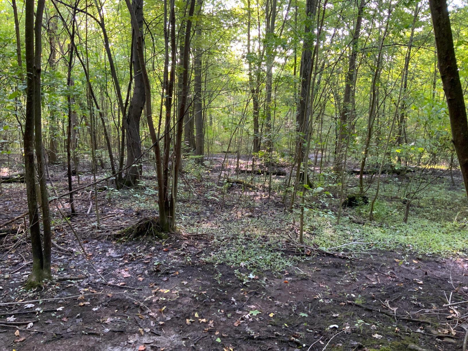 0 North Warren, OH 44484 - Photo 24 of 47