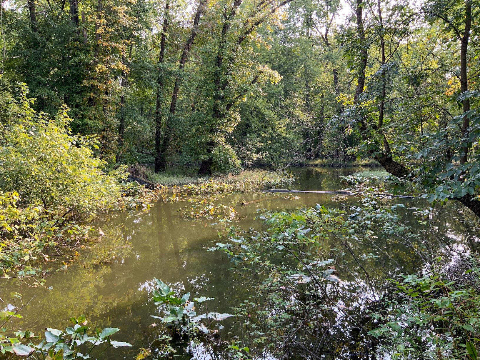 0 North Warren, OH 44484 - Photo 28 of 47