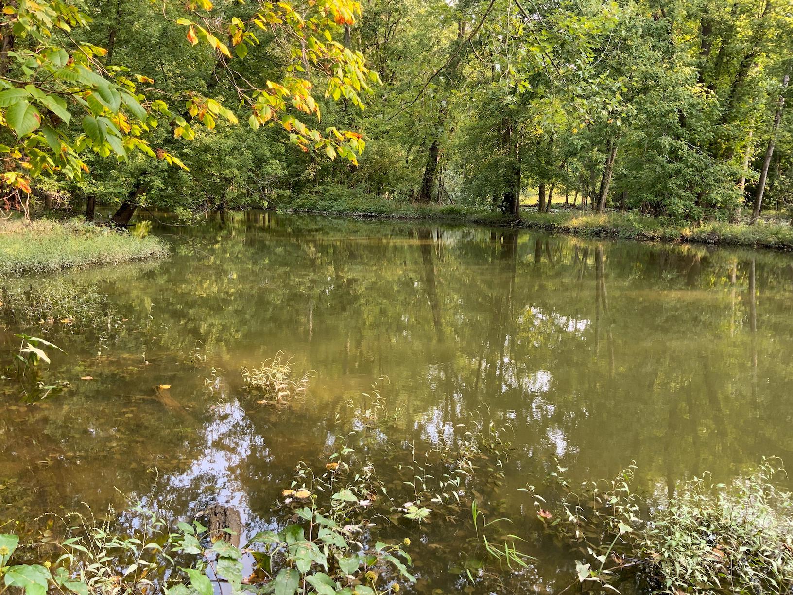 0 North Warren, OH 44484 - Photo 29 of 47