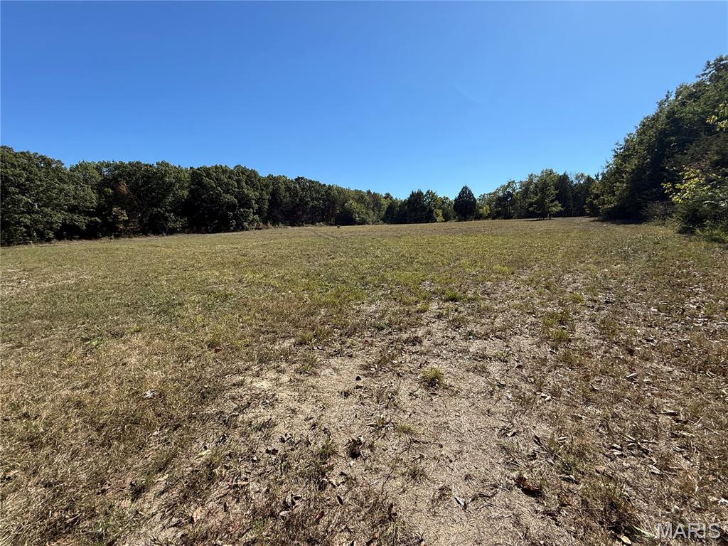 92-118 Devine Road, Unit 110 Bismarck, MO 63624 - Photo 61 of 79