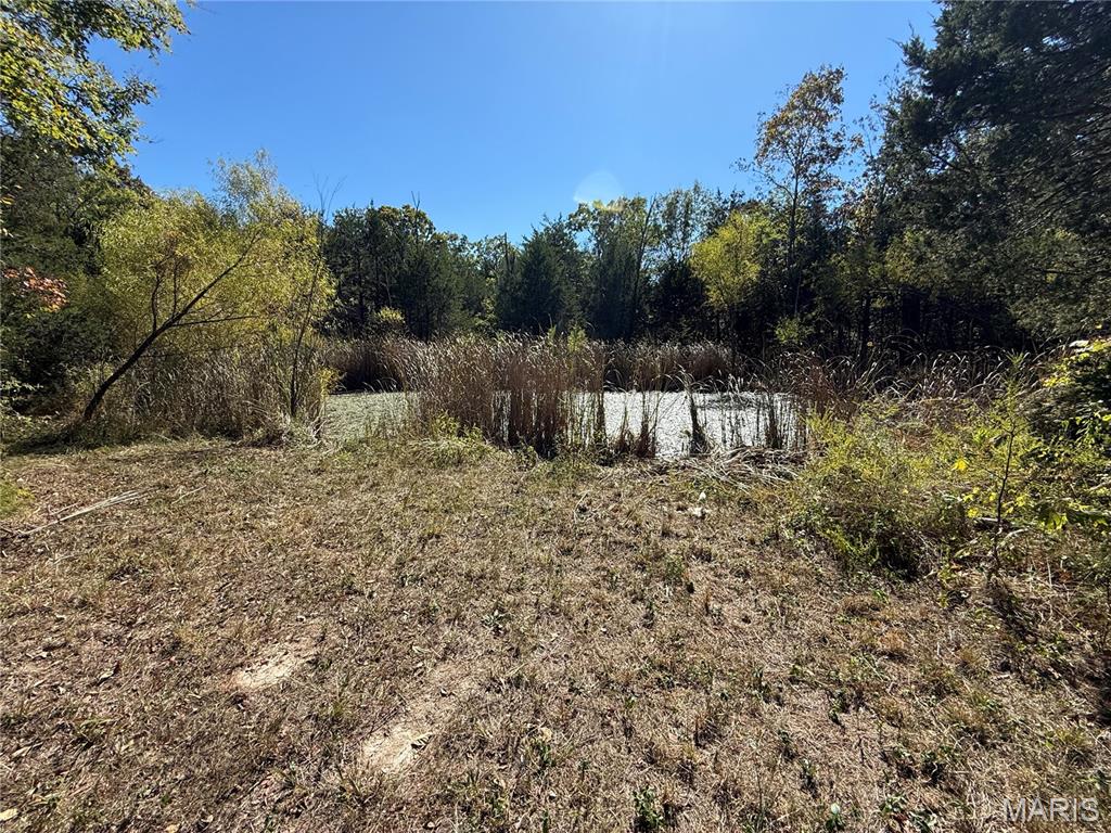 92-118 Devine Road, Unit 110 Bismarck, MO 63624 - Photo 65 of 79