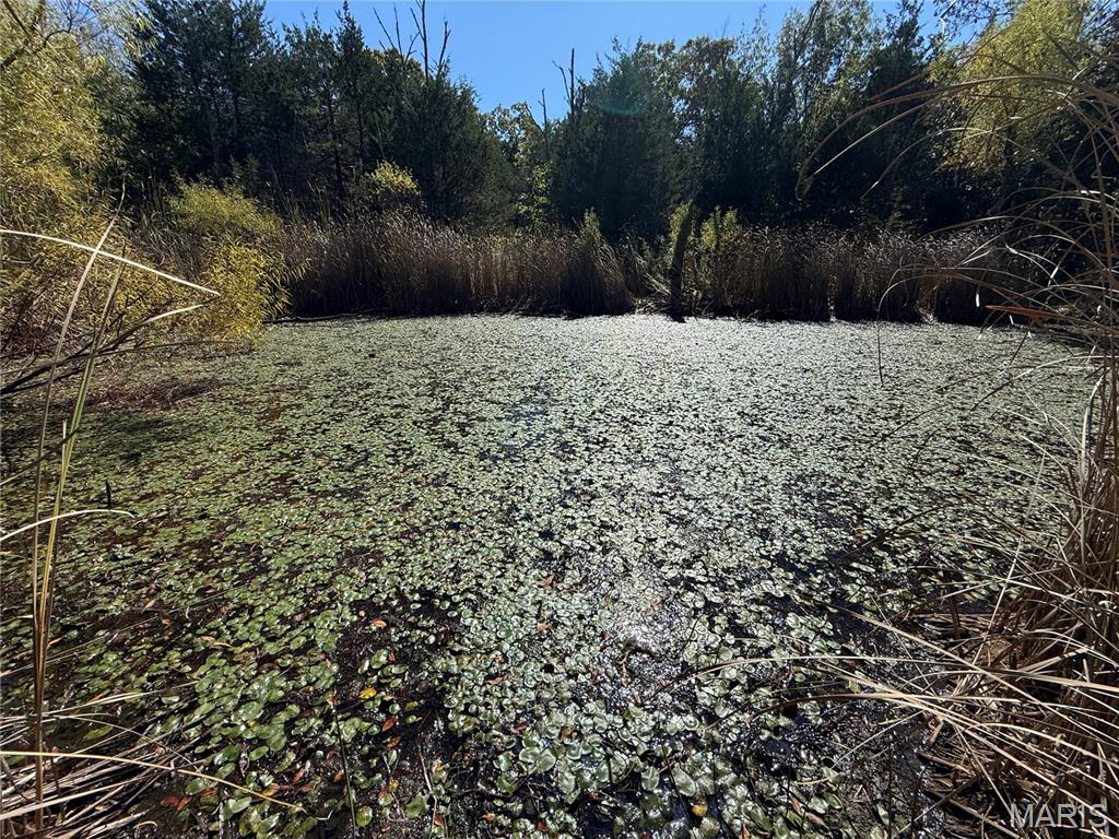 92-118 Devine Road, Unit 110 Bismarck, MO 63624 - Photo 66 of 79