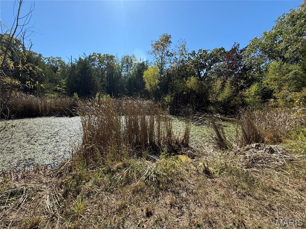 92-118 Devine Road, Unit 110 Bismarck, MO 63624 - Photo 67 of 79