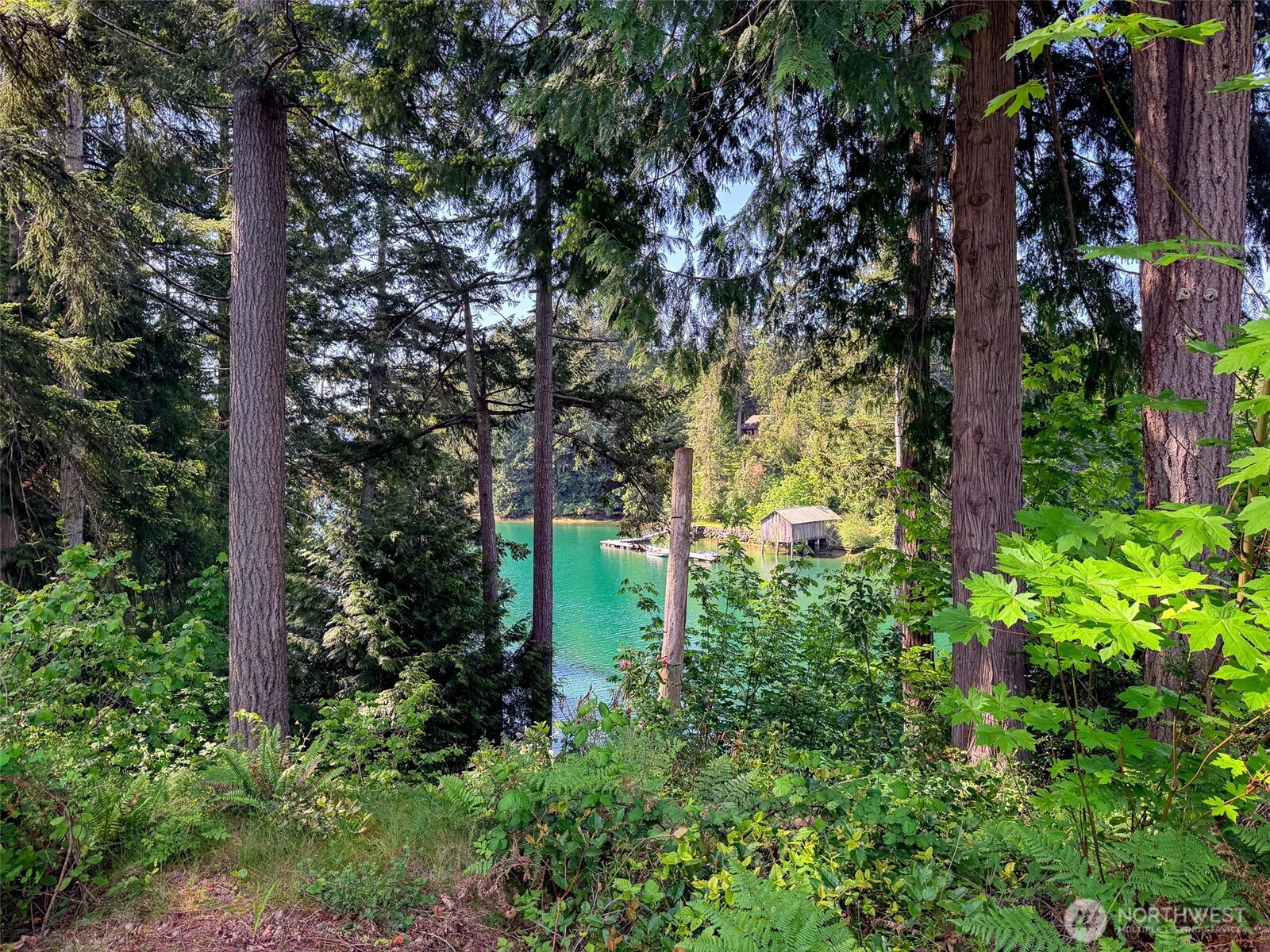 55 Wolf Road Quilcene, WA 98376 - Photo 23 of 32
