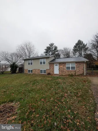 a view of a yard in front of a house with a large tree