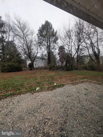 a view of a yard with a tree