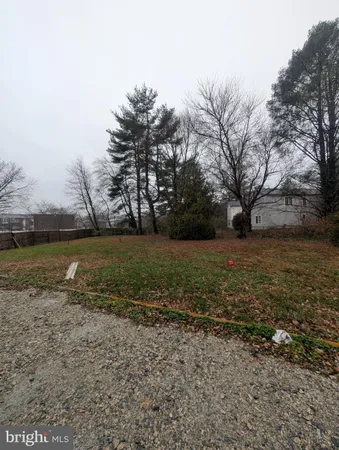 a view of dirt yard with large trees