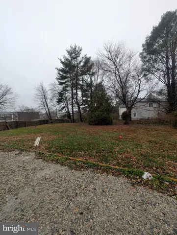 a view of dirt yard with large trees