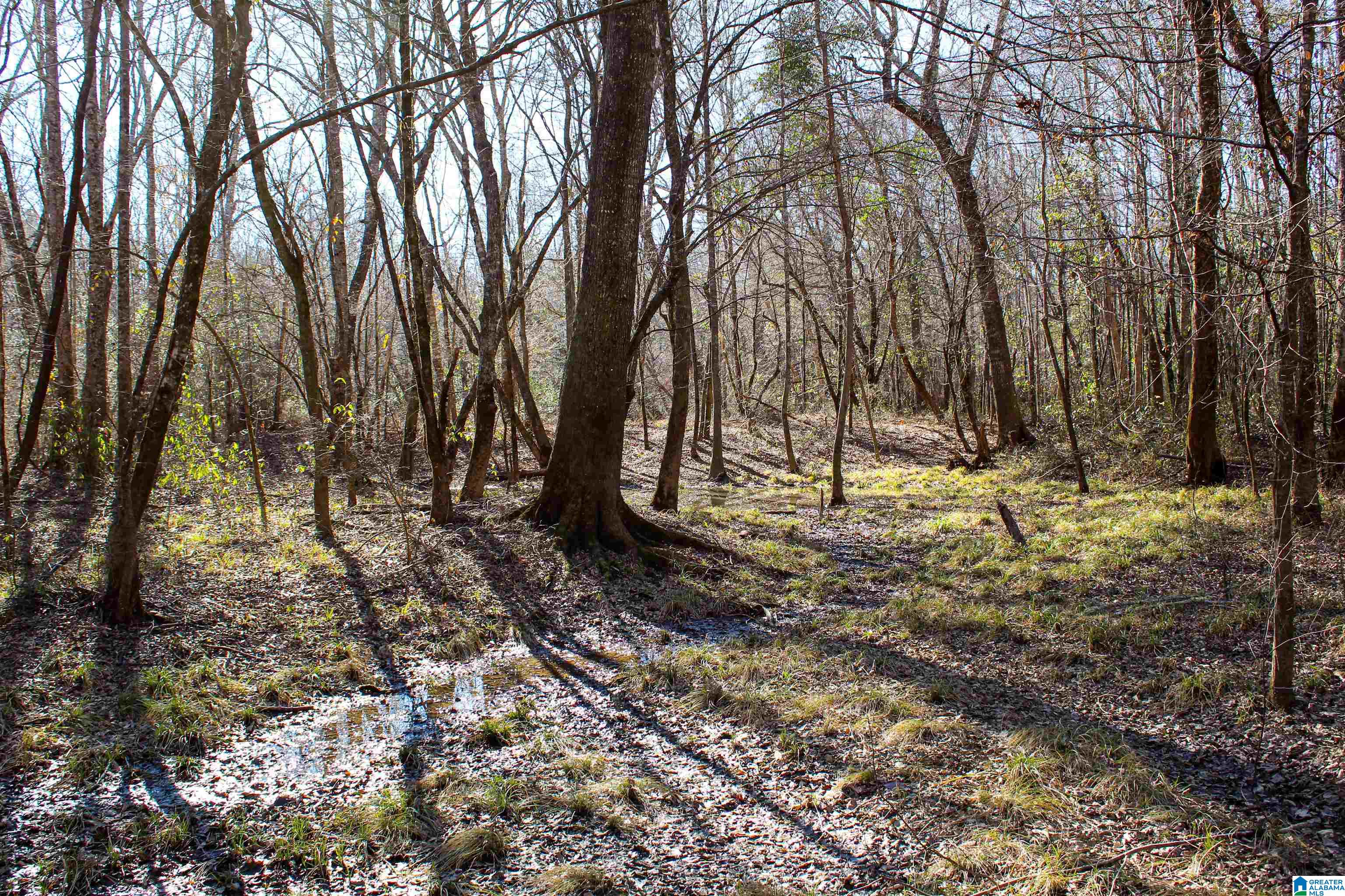 339 County Road Nauvoo, AL 35578 - Photo 35 of 57