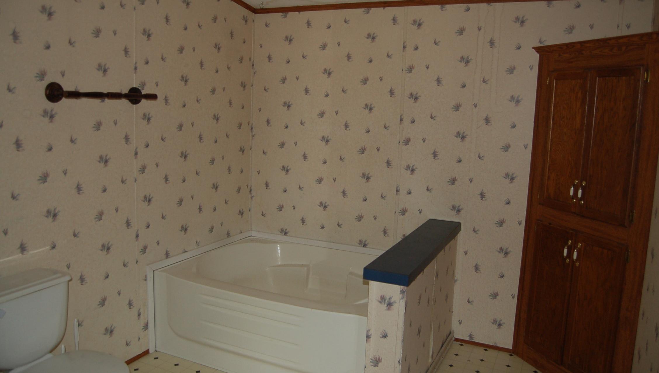 741 French Mill Road Dandridge, TN 37725 - Photo 3 of 16 Gardent Tub in Master
