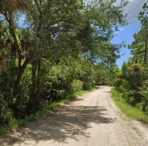 a view of a yard with plants and trees