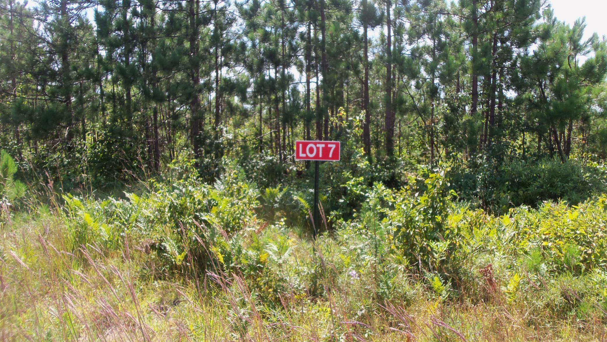 Lot 7 Cty Highway Springbrook, WI 54875 - Photo 1 of 1 Gallery Image 1