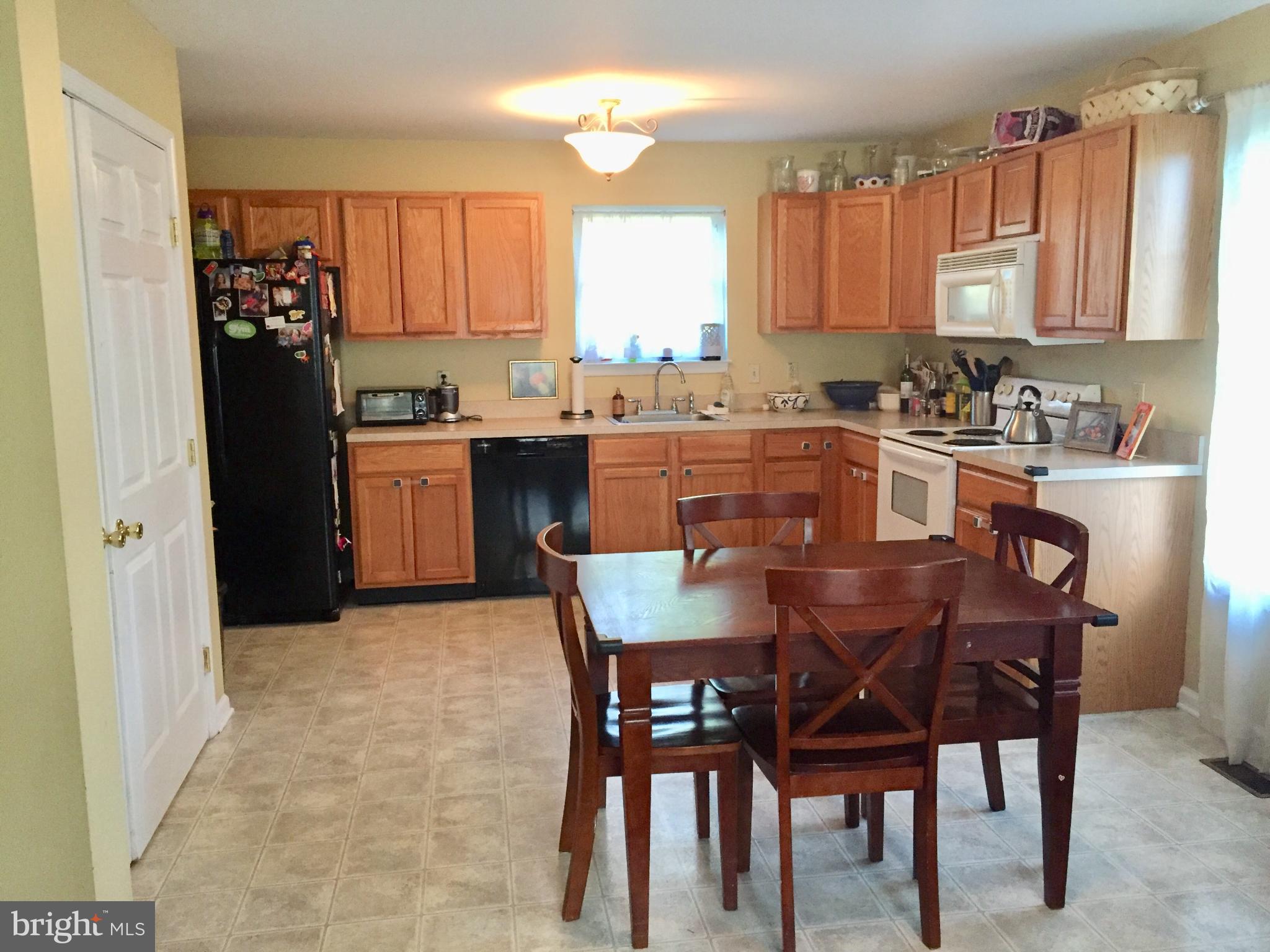 4877 Stump Road Pipersville, PA 18947 - Photo 3 of 10 Plenty of cabinets in bright kitchen.