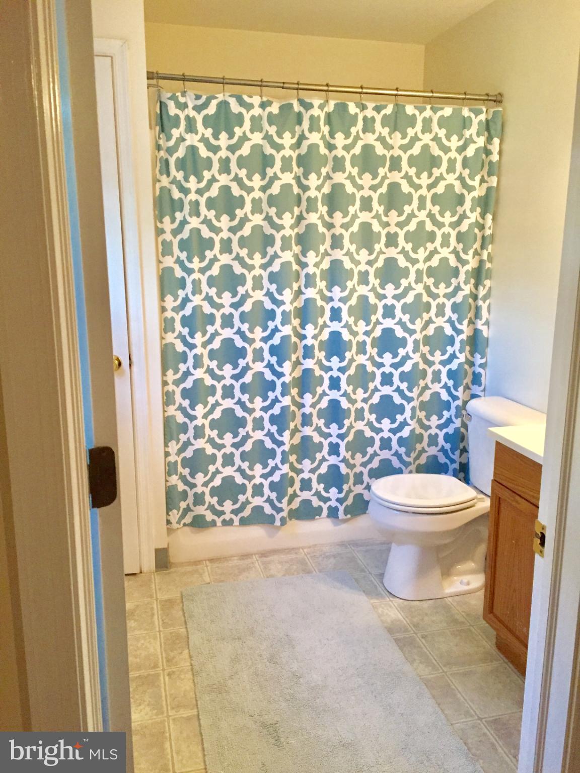 4877 Stump Road Pipersville, PA 18947 - Photo 8 of 10 Bath with shower/tub combination and vanity.