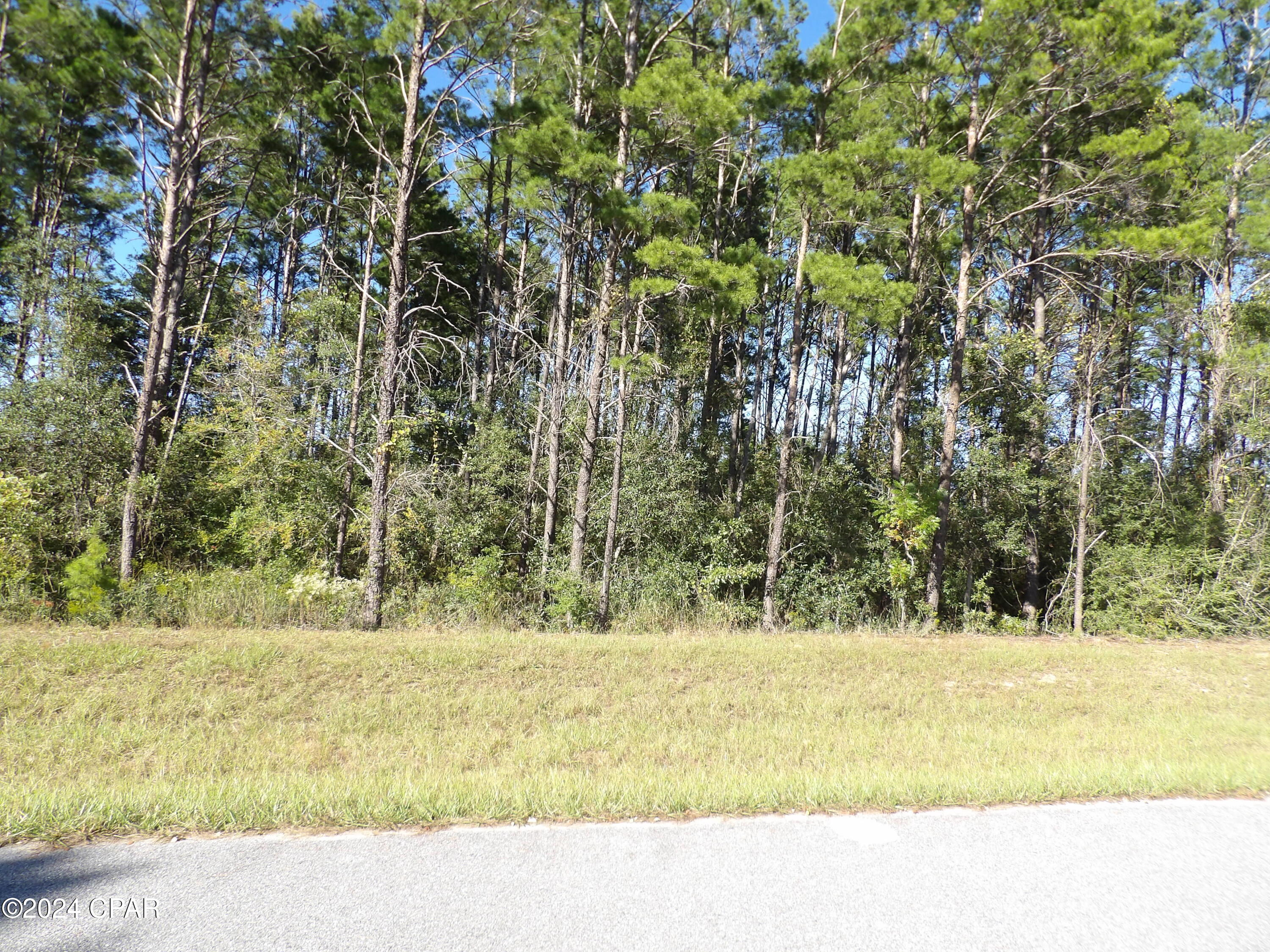 14723 Bream Pond Road Panama City, FL 32409 - Photo 13 of 25 Gallery Image 13