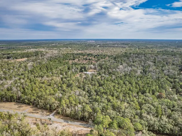 $220,000 | Xxx Lawhon Mill Road, Crawfordville, FL 32327