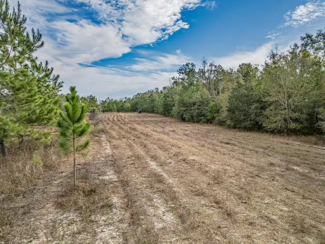 $220,000 | Xxx Lawhon Mill Road, Crawfordville, FL 32327