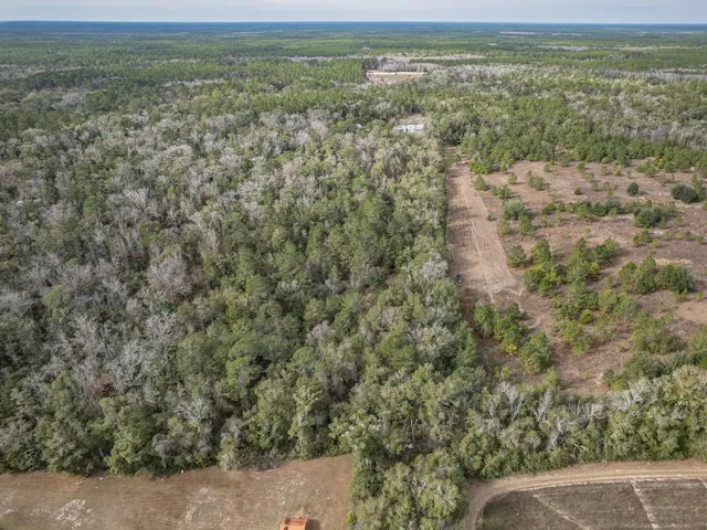 $220,000 | Xxx Lawhon Mill Road, Crawfordville, FL 32327