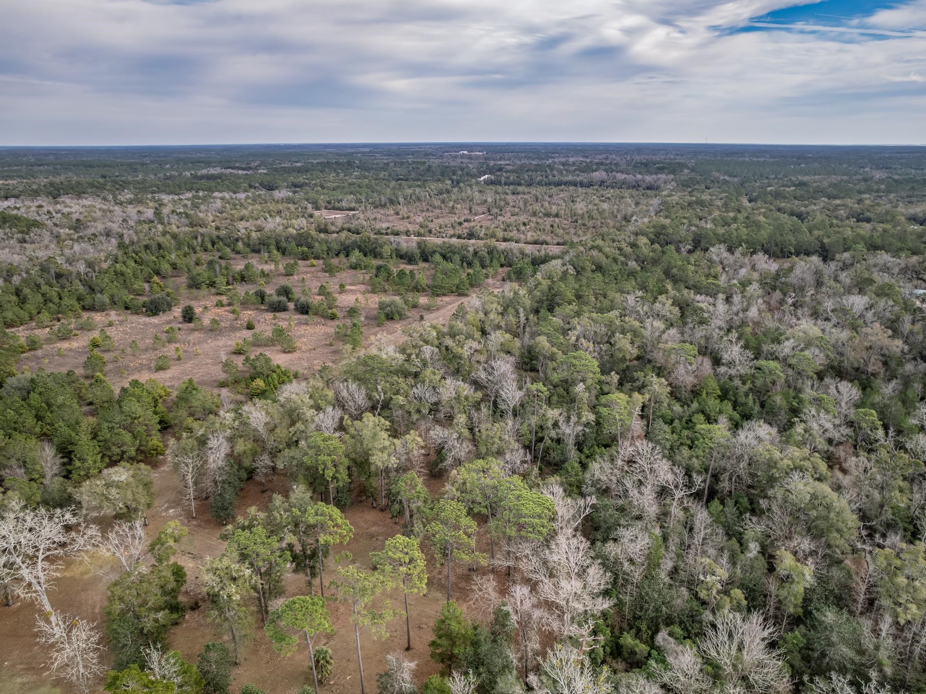 Xxx Lawhon Mill Road Crawfordville, FL 32327 - Photo 3 of 15