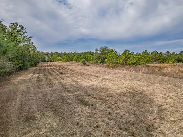 $220,000 | Xxx Lawhon Mill Road, Crawfordville, FL 32327