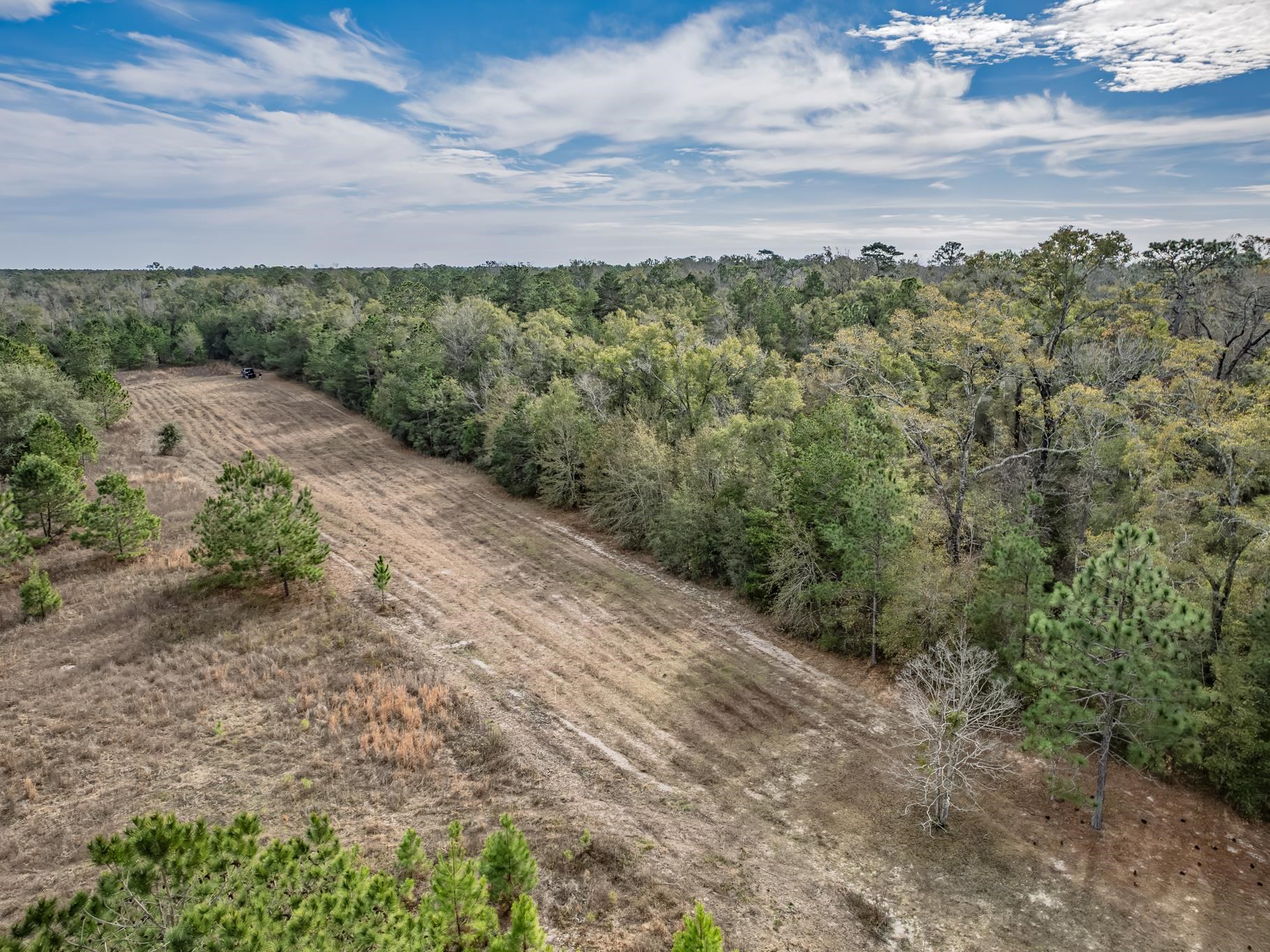 Xxx Lawhon Mill Road Crawfordville, FL 32327 - Photo 5 of 15