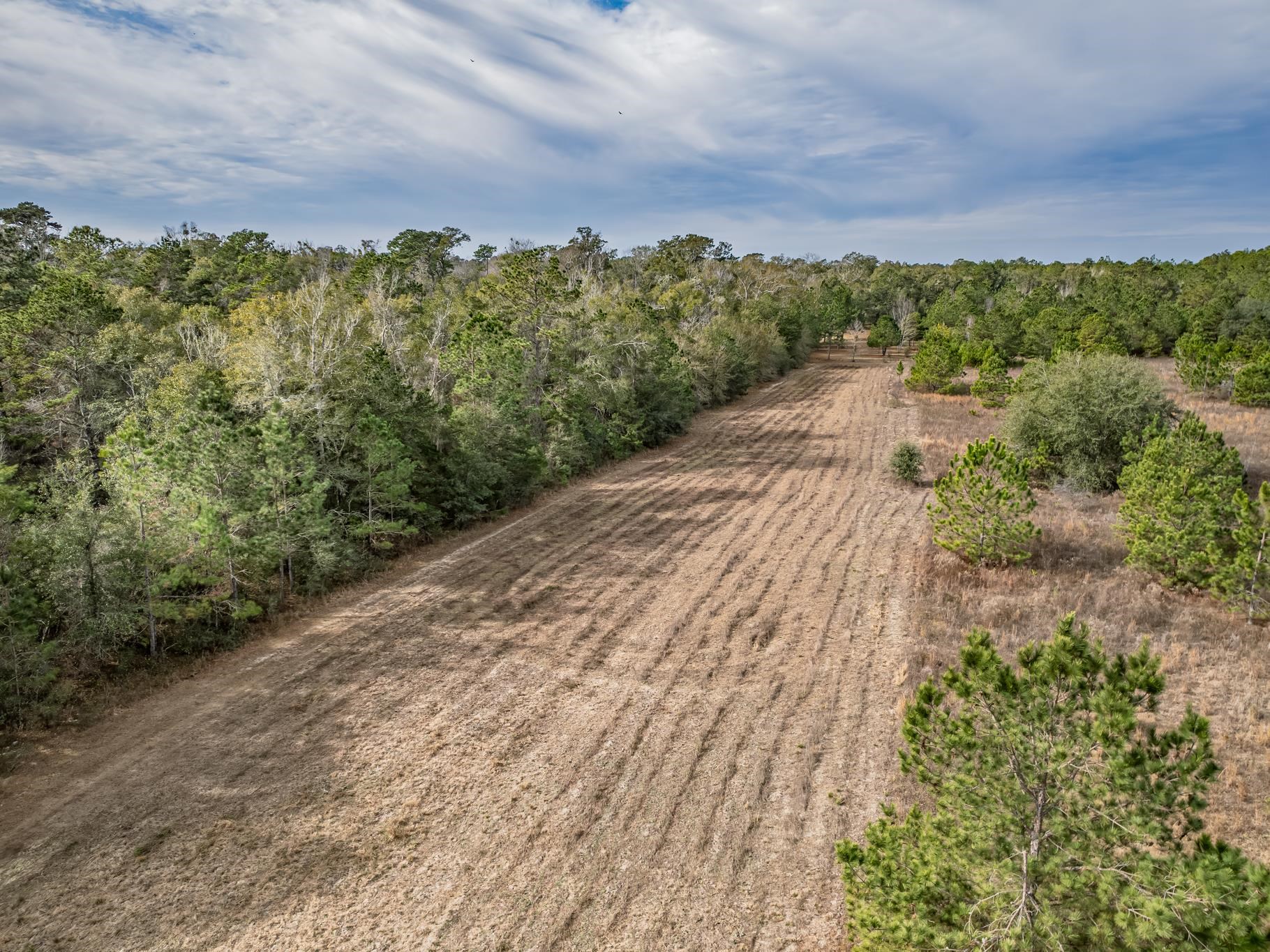 Xxx Lawhon Mill Road Crawfordville, FL 32327 - Photo 6 of 15