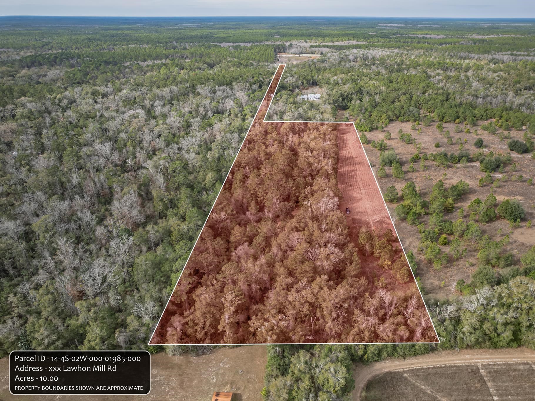 Xxx Lawhon Mill Road Crawfordville, FL 32327 - Photo 7 of 15