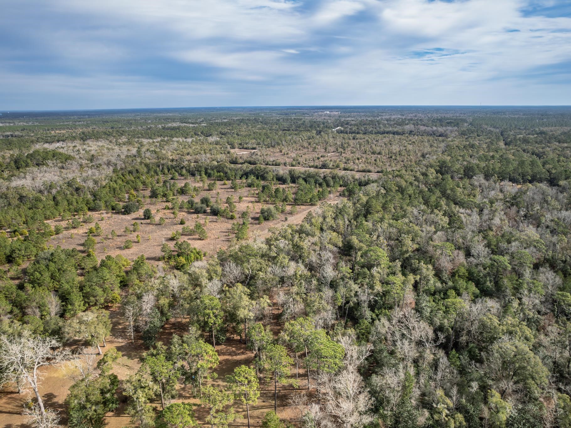 Xxx Lawhon Mill Road Crawfordville, FL 32327 - Photo 9 of 15