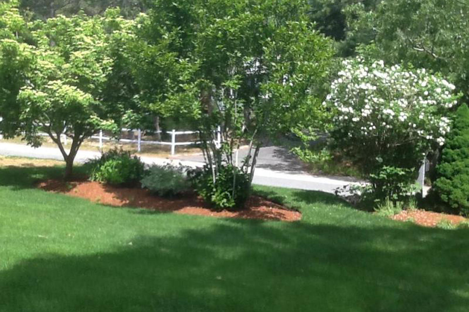 39 Mashpee Road Cotuit, MA 02635 - Photo 11 of 20 IMG_0758
