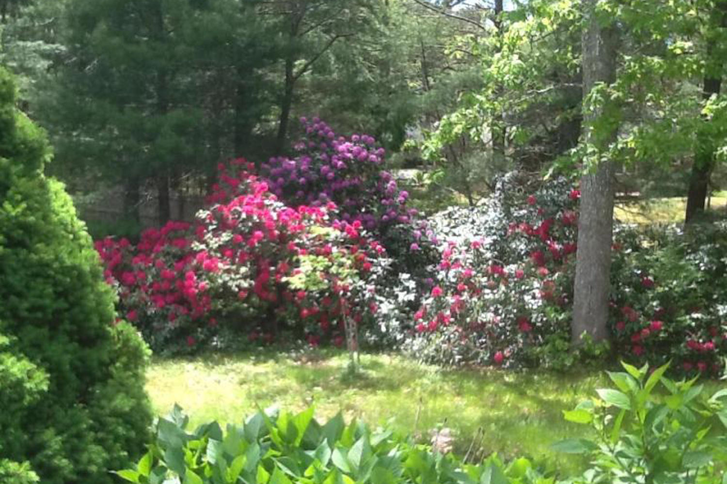 39 Mashpee Road Cotuit, MA 02635 - Photo 12 of 20 IMG_0776