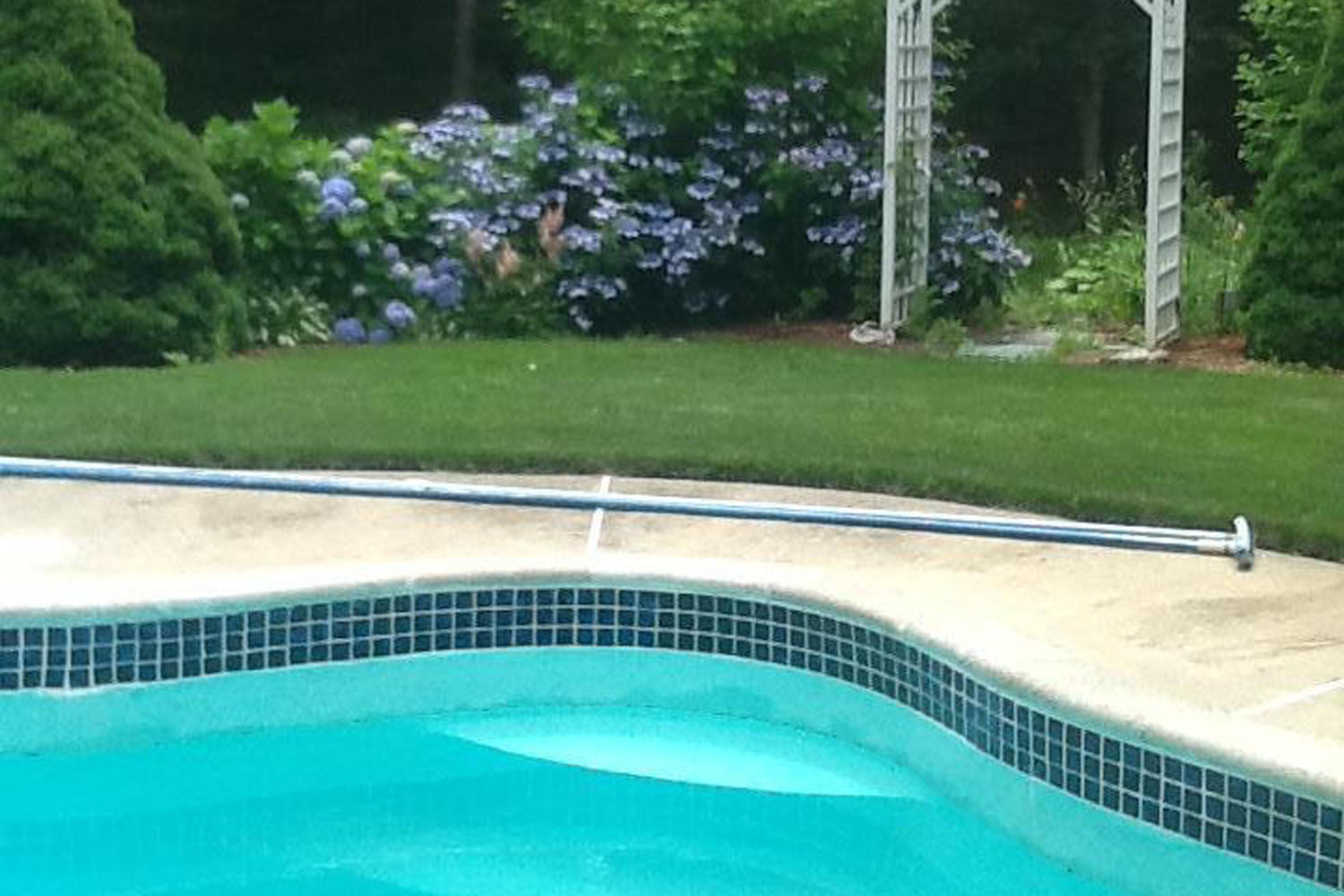39 Mashpee Road Cotuit, MA 02635 - Photo 17 of 20 IMG_0897