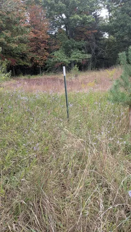 $189,900 | 0 East 14 Mile Road, Bitely, MI 49309