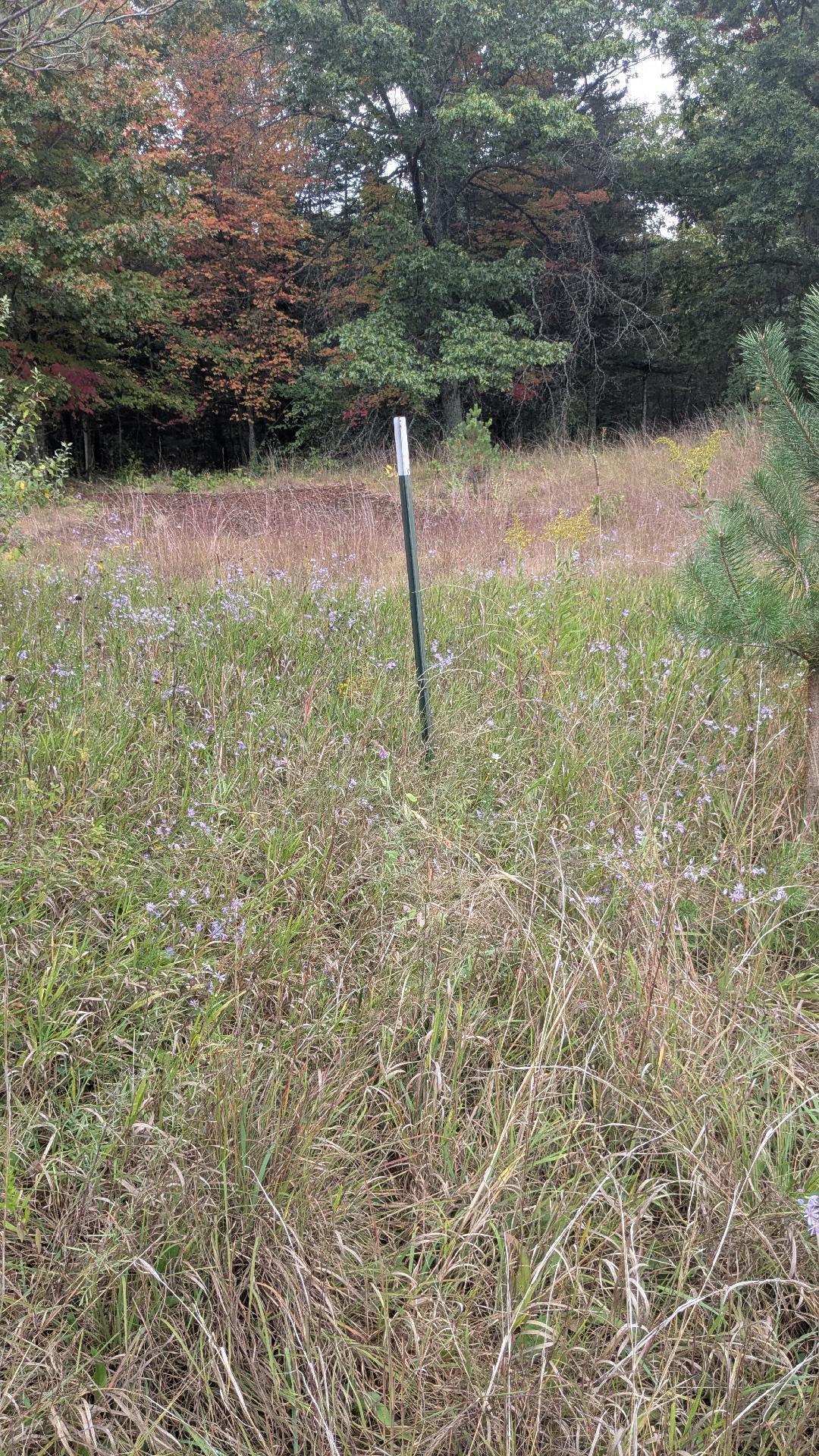 0 East 14 Mile Road Bitely, MI 49309 - Photo 14 of 28 Parcel is well marked
