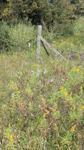 $189,900 | 0 East 14 Mile Road, Bitely, MI 49309