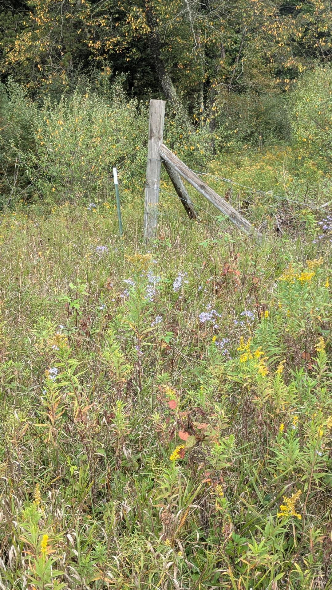 0 East 14 Mile Road Bitely, MI 49309 - Photo 15 of 28 NE corner