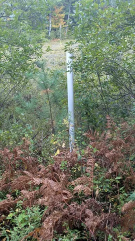 $189,900 | 0 East 14 Mile Road, Bitely, MI 49309