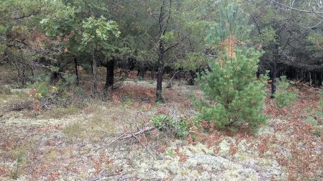 $189,900 | 0 East 14 Mile Road, Bitely, MI 49309