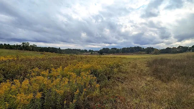 $189,900 | 0 East 14 Mile Road, Bitely, MI 49309