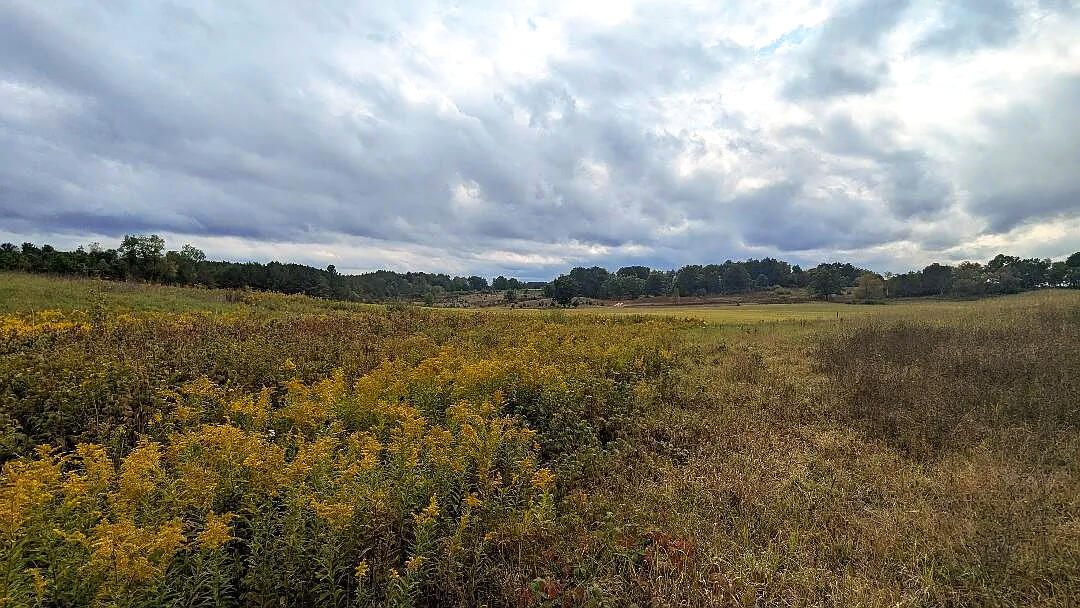 0 East 14 Mile Road Bitely, MI 49309 - Photo 19 of 28 Peaceful