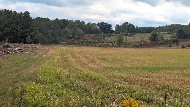 $189,900 | 0 East 14 Mile Road, Bitely, MI 49309