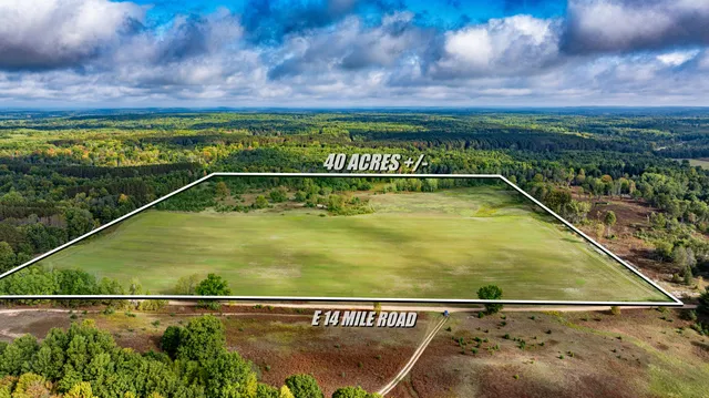 $189,900 | 0 East 14 Mile Road, Bitely, MI 49309