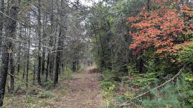 $189,900 | 0 East 14 Mile Road, Bitely, MI 49309