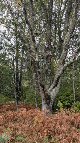 $189,900 | 0 East 14 Mile Road, Bitely, MI 49309